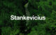 Stankevicius International Carbon Credit Trading